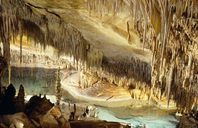 Cuevas del Drach con paseo en barca y concierto de música clásica - Tour de medio día - Foto 2